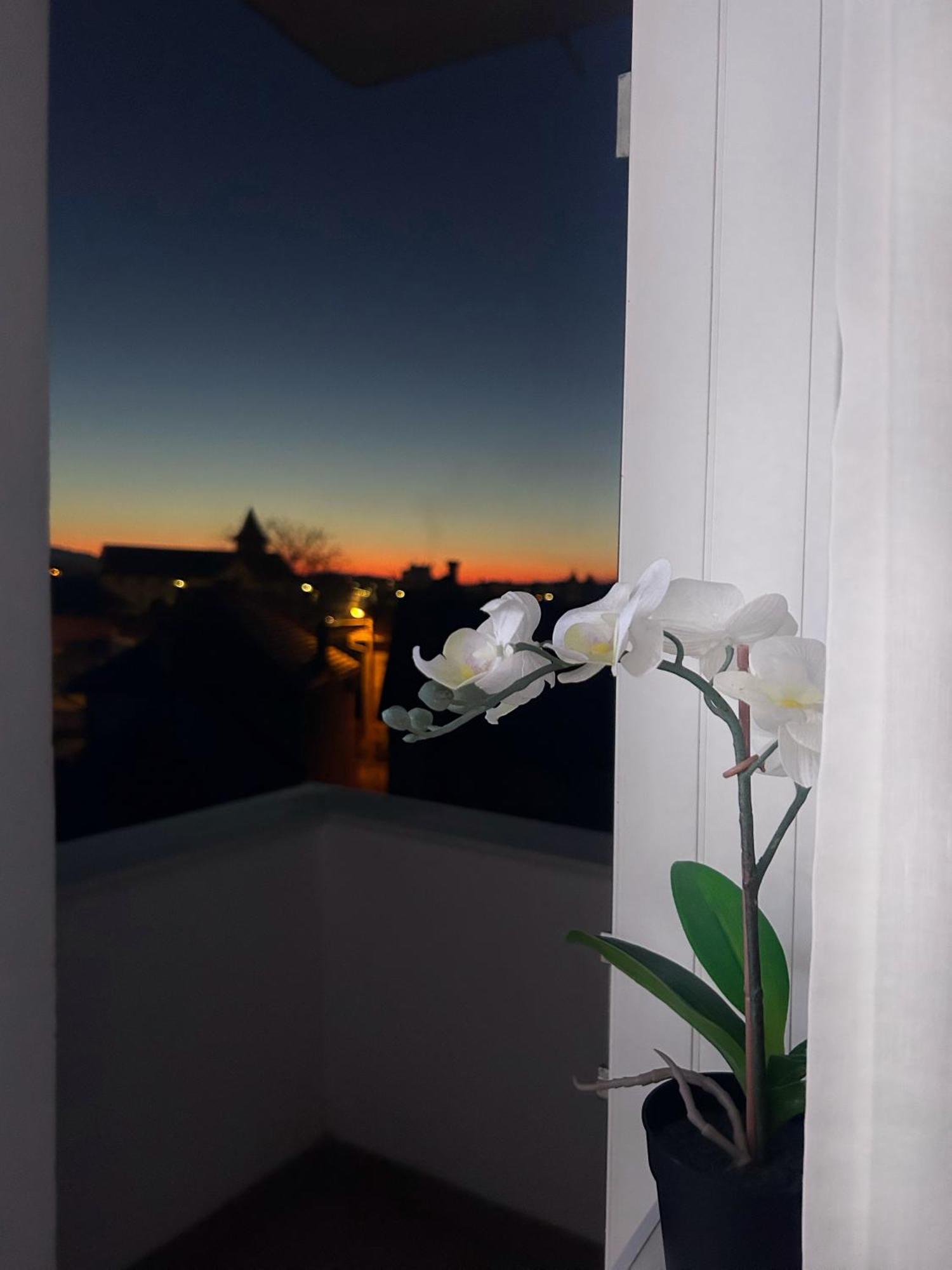 Davcom Studio Fagaras Bagian luar foto