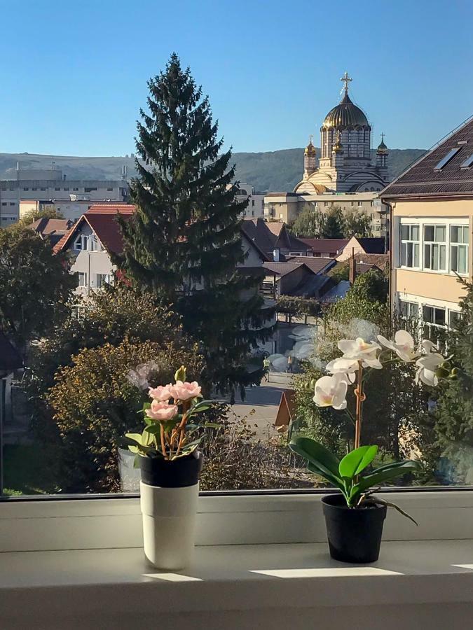 Davcom Studio Fagaras Bagian luar foto